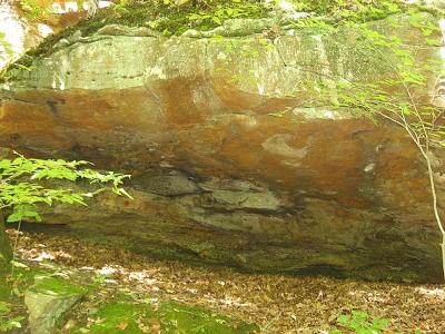 Moccasin Site in the Piney Creek Ravine